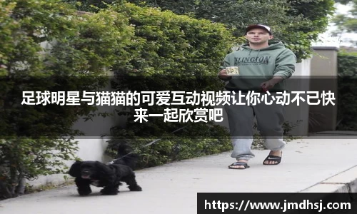 芒果体育app官网入口
